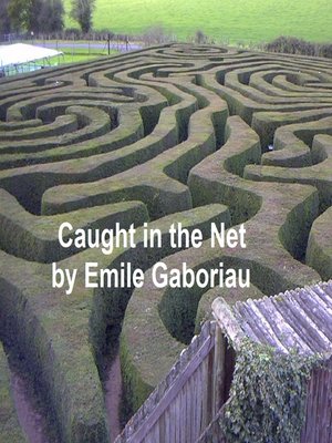 cover image of Caught in the Net